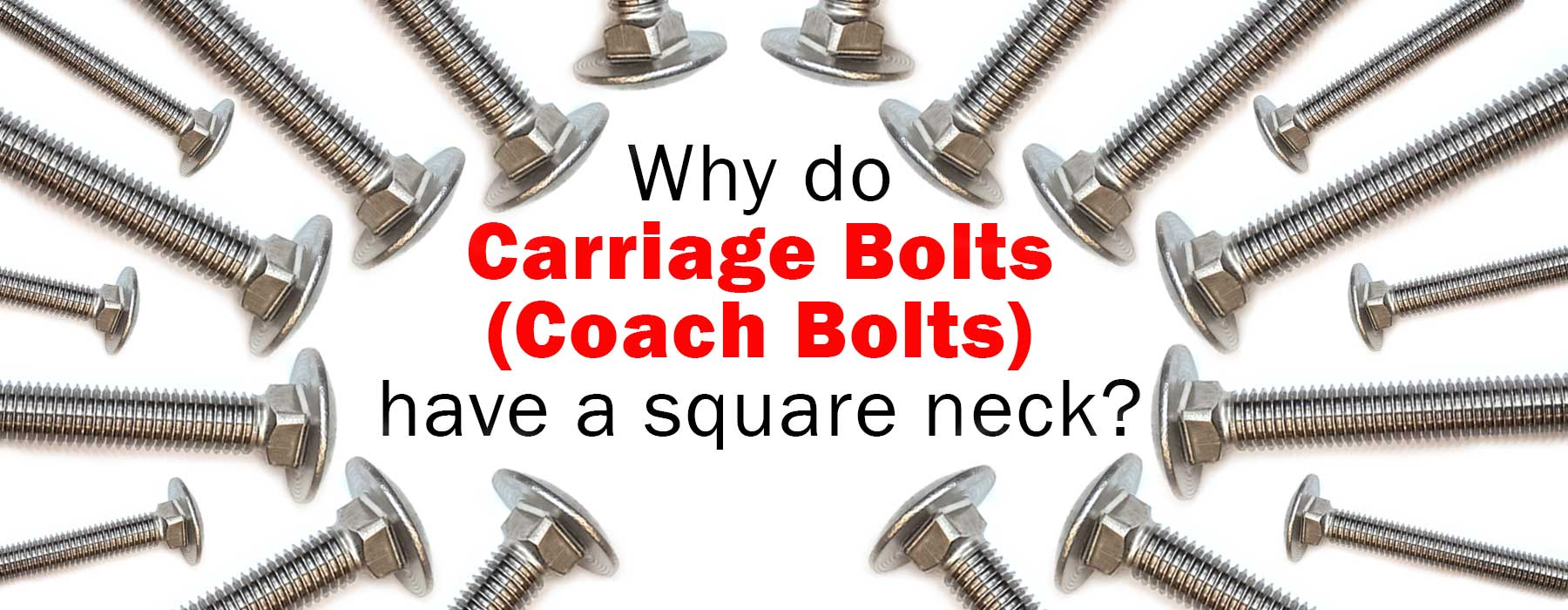 Carriage bolts - coach bolts at Fusion Fixings