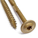 Detail product image for the Timco 8 x 250mm, Wafer Head Timber Screws, showing the wafer head and the screw point.