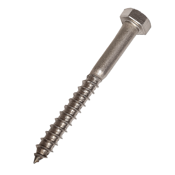 Product image for M5 x 20mm Coach Screw A2 Stainless Steel DIN 571