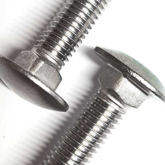 Detail image for the M6 x 100mm Carriage bolt (Coach Bolt) A2 Stainless Steel DIN 603