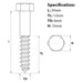 Size diagram for the M6 x 20mm Coach Screw BZP DIN 571.