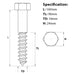 Size guide for the M16 x 160mm hex head coach screw A2 Stainless Steel, DIN 571. Part of a larger range of coach screws from Fusion Fixings