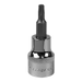 Product photography for Torx T20 Socket Bit, Sealey Premier Socket Bit, 3/8” Square Drive (SBT009)